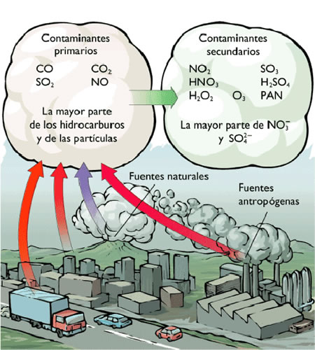 Los contaminantes primarios que proceden de fuentes naturales y antropógenas se transforman en contaminantes secundarios.